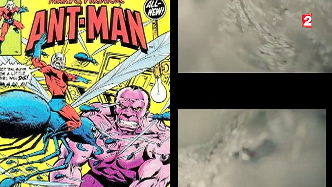 "Ant-Man", le nouveau héros de Marvel porté au grand écran