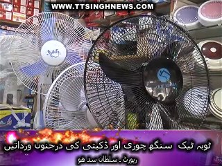 ٹوبہ ٹیک سنگھ میں ڈکیتی اور چوری درجنوں ورداتیں