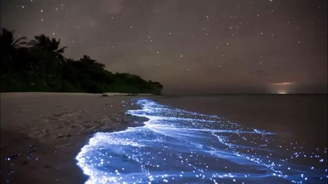 1 Hour | Peaceful Acoustic Music | Música Pacífica Acústica