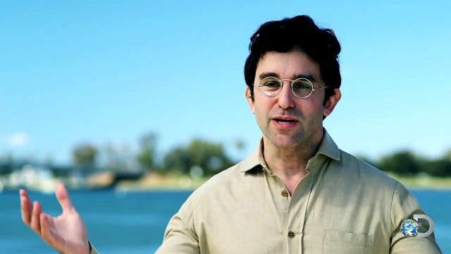 Glow-in-the-Dark Sharks | Shark Week 2015