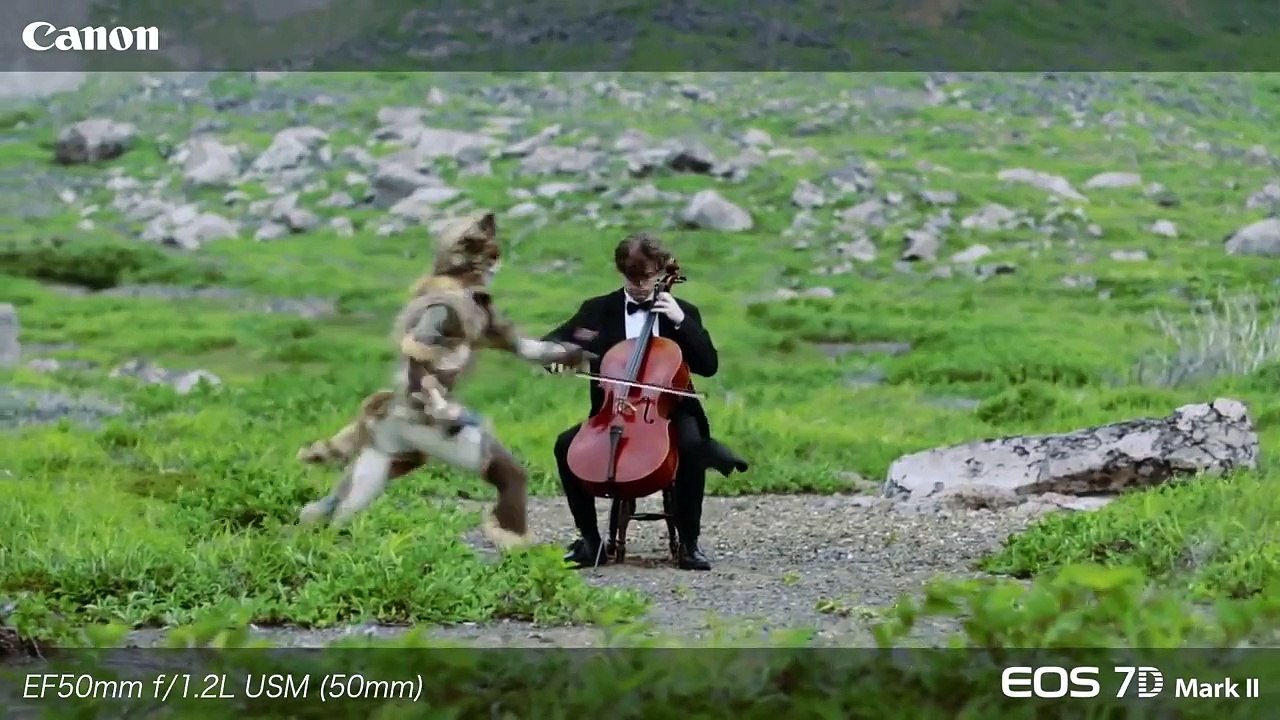 Canon 7D Mark II sample footage