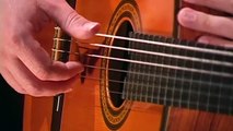 How To Play Guitar For Beginners Lesson 1 Step By Step - Fingerstyle Guitar