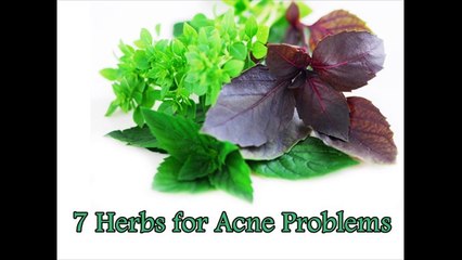 Herbs for Acne Problems