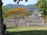 Palenque Mayan Ruins Chiapas Mexico
