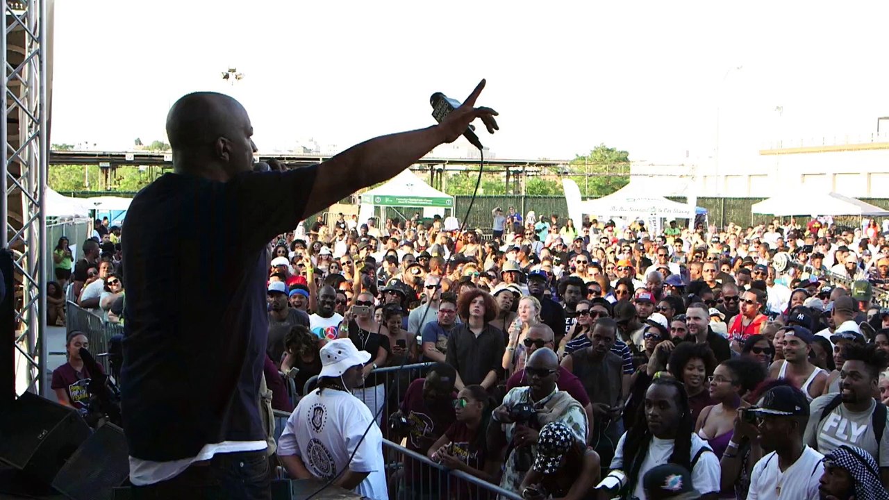 Large Professor - "Live at the Barbeque" at the Brooklyn Hip-Hop Festival