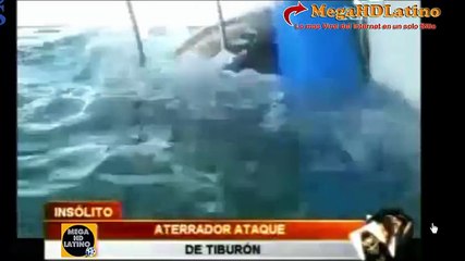Aterrador ataque de tiburon