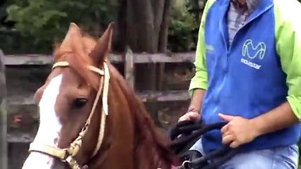 COQUETA 3-TRABAJO DE TORNO MONTADA CON BUENA POSICION Y QUIETUD DE LA CABEZA