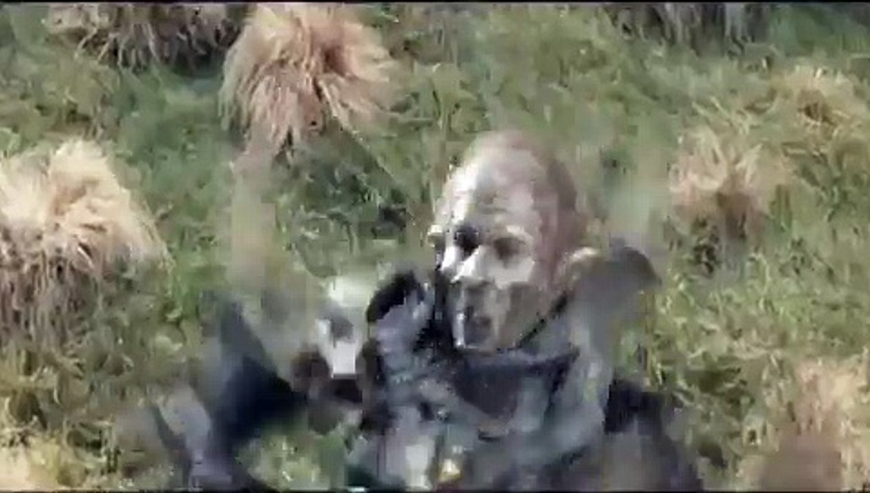 Legolas Best Moments/Scenes - Lord of the Rings