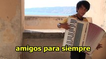 amigos para siempre － アコーディオン　accordeon  accordion  acordeon  akordeon