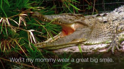 BABY BUMBLEBEE SONG Get Ready to Laugh Children's Nursery Rhyme