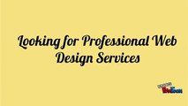 Looking for Professional Web Design Services