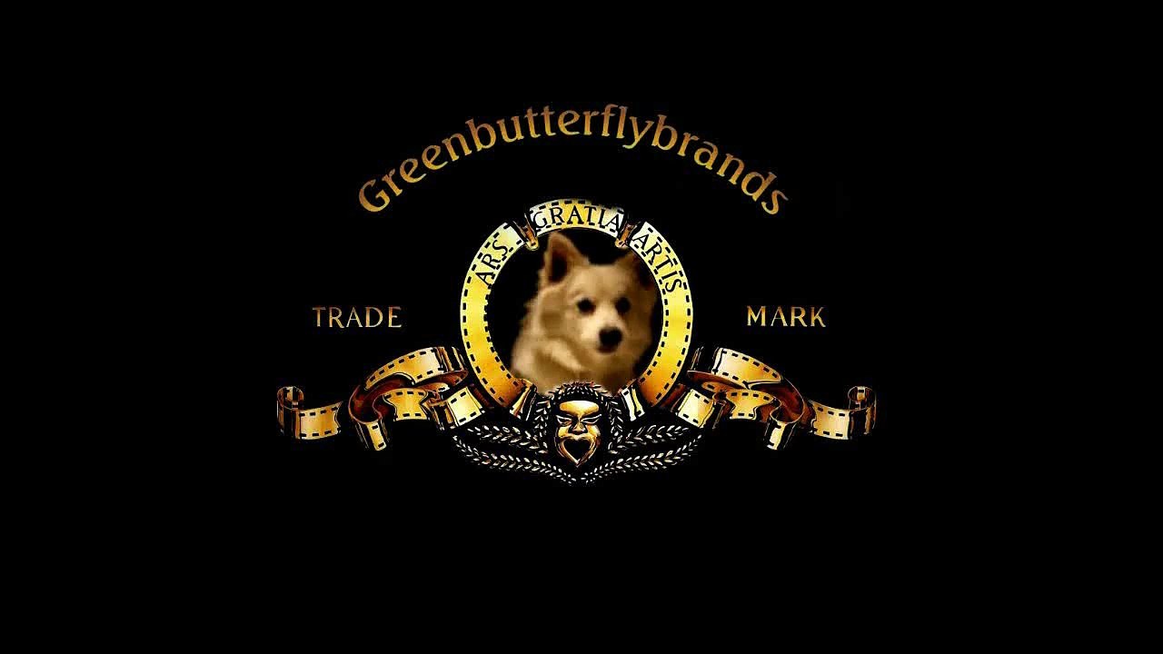 Best Dog Treats For Training - Top Dog at the Office Explains Why in this Funny Video!