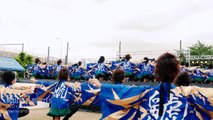 Japanese dance festival in Inuyama, Aichi. Yosakoi team 