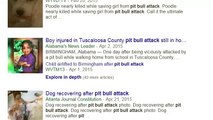 pit bull attack human and animals