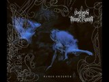 Wolves in the Throne Room - Black Cascade (full album)