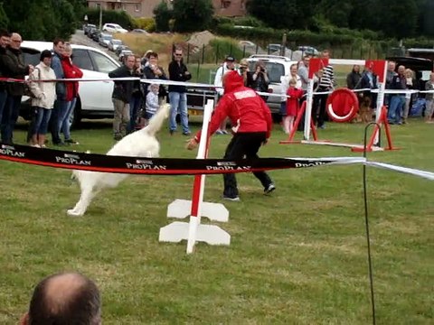 joye a herbelles démonstration d'agility.