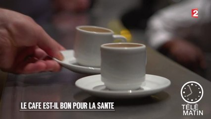 Santé - Consommation de café : le vrai du faux - 2015/07/13