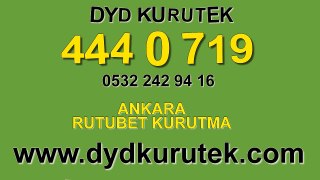 Ankara Rutubet Kurutma « DYD 444 0 719 » Nem Kurutma