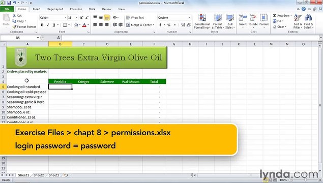 MS Excell Setting workbook permissions