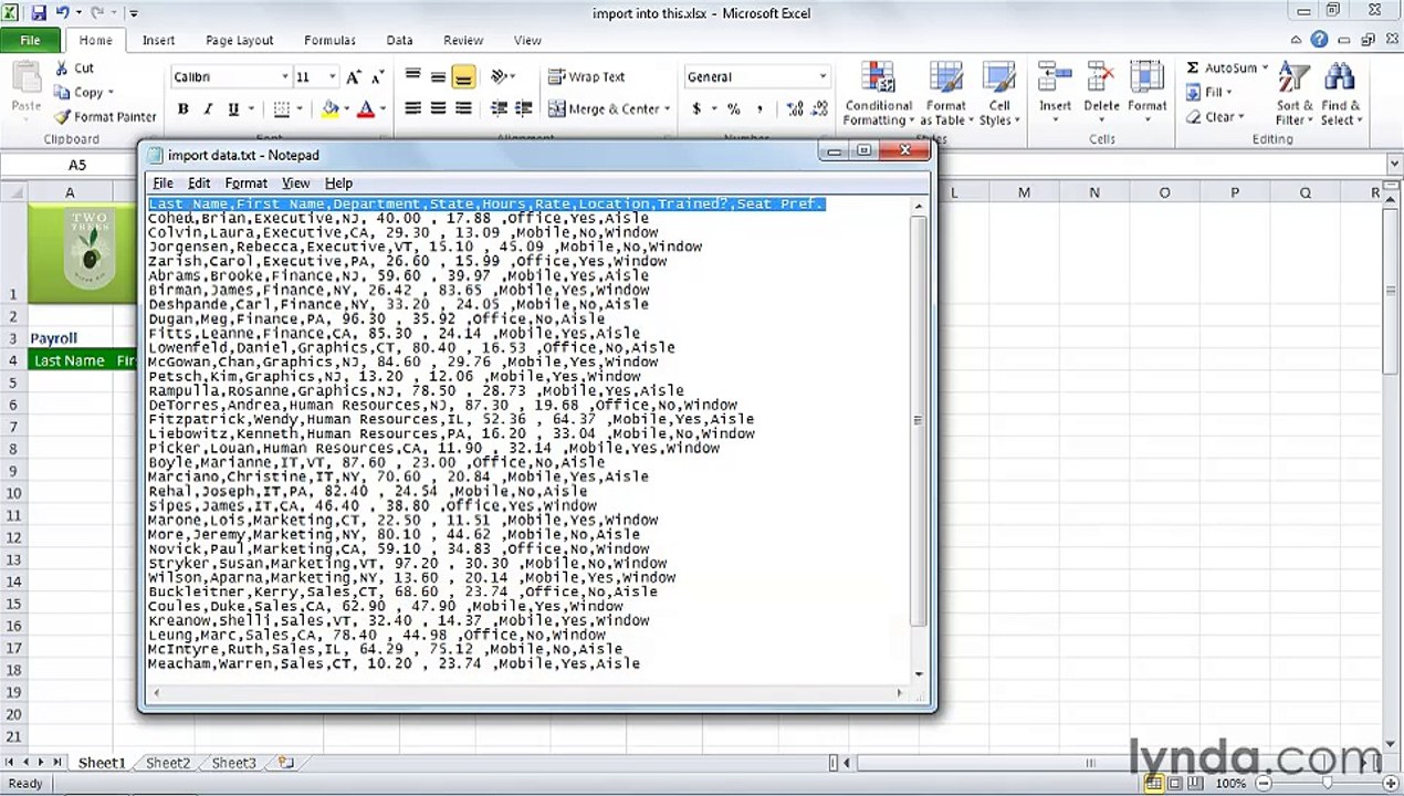 MS Excell Importing and exporting data in Excel