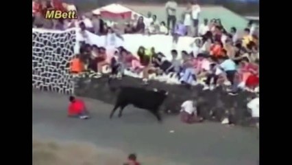 Animal Attack Compilation Caught On Camera