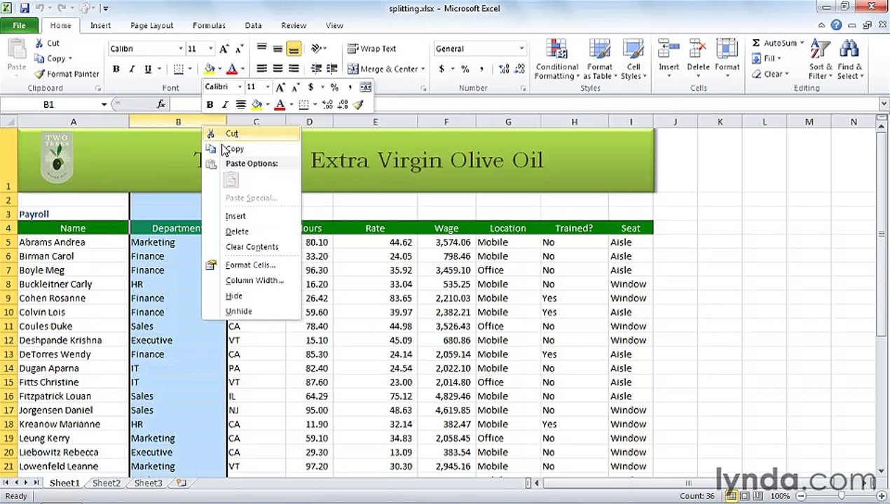 MS Excell Splitting cell data into multiple cells