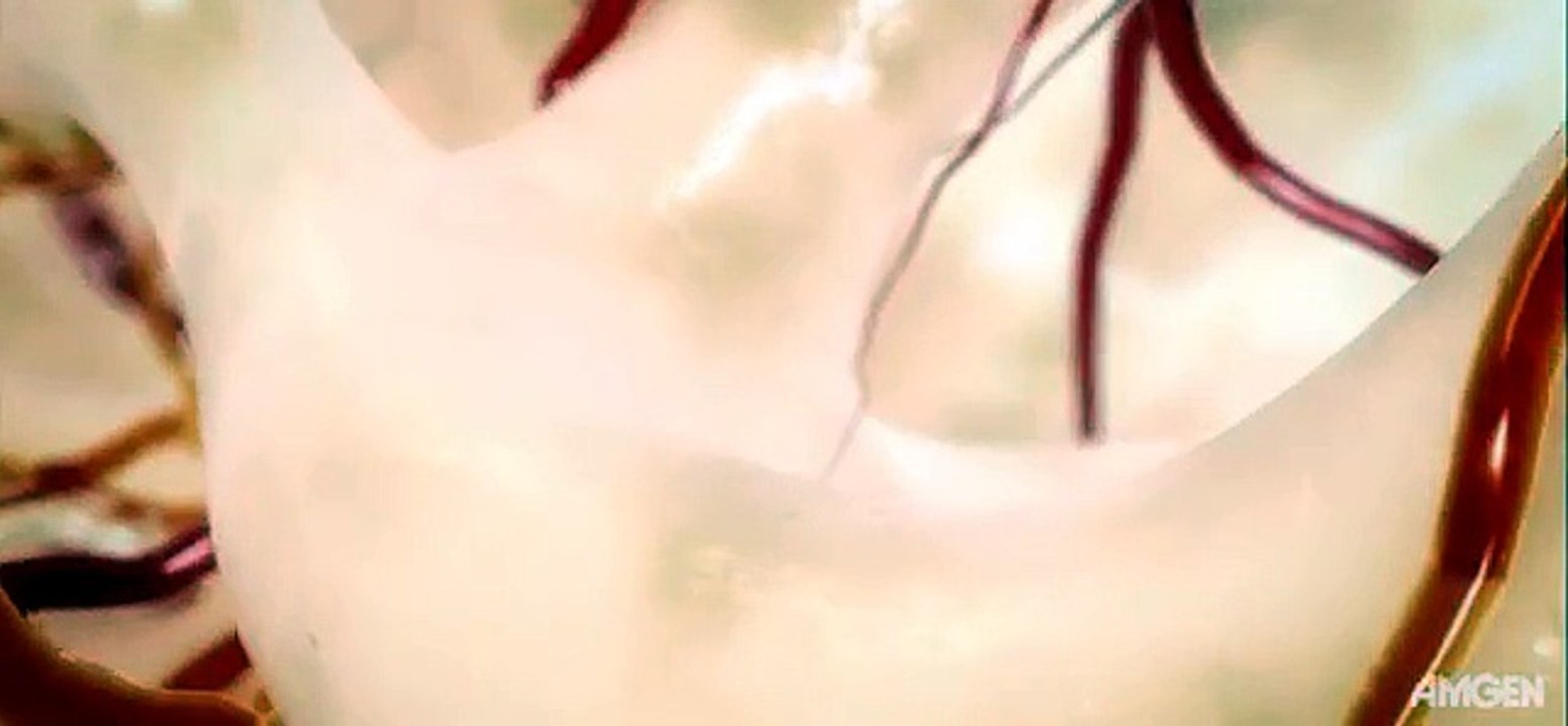 Osteoblasts and Osteoclasts