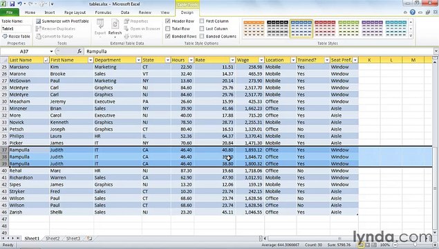 MS Excell Using tables to sort and filter data