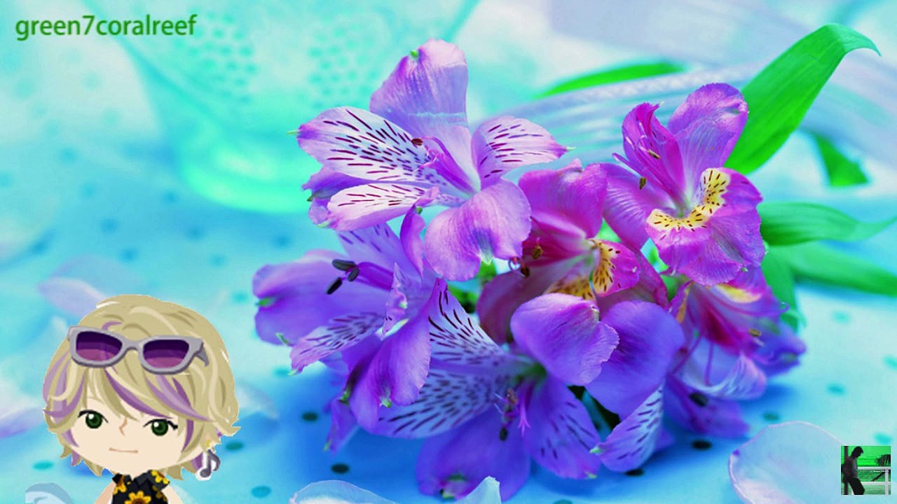 流星ナイト － 松田聖子