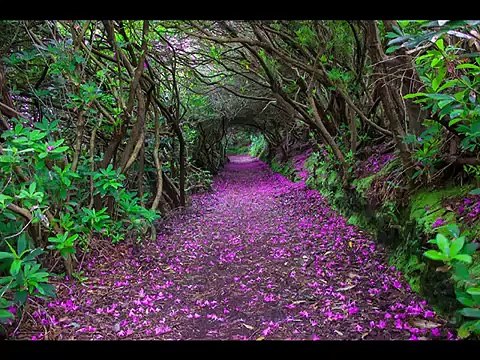 Copy of Amazing Places|Beautiful Places|Amazing Places In The World|Amazing on earth#