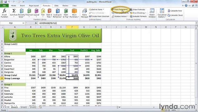 MS Excell Using auditing to diagram