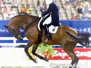 FEI rules contradict "modern" dressage