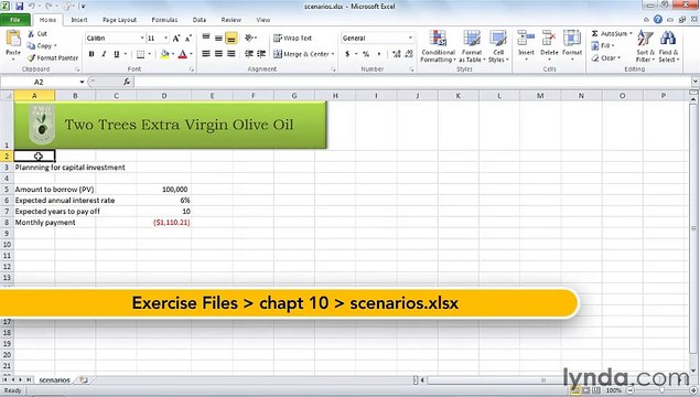MS Excell Using scenarios in formulas