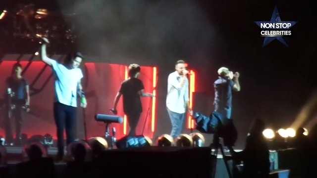 One Direction : Harry Styles tombe en plein concert