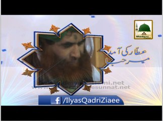 Jashn e Wiladat Ameer e Ahlesunnat Live Bayan