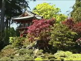 San Francisco Japanese Tea Garden