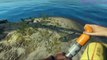 Stranded Deep Short Gameplay Intro. (PC) (Max Setting)