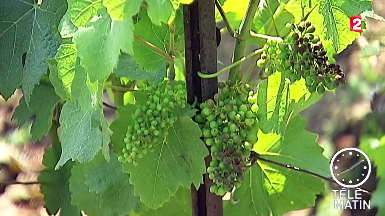 Unesco : les nouveaux inscrits au patrimoine mondial de l'humanité