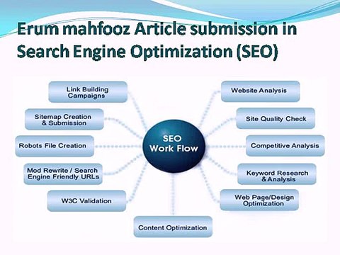 Erum-mahfooz-Article-submission-in-Search-Engine-Optimization