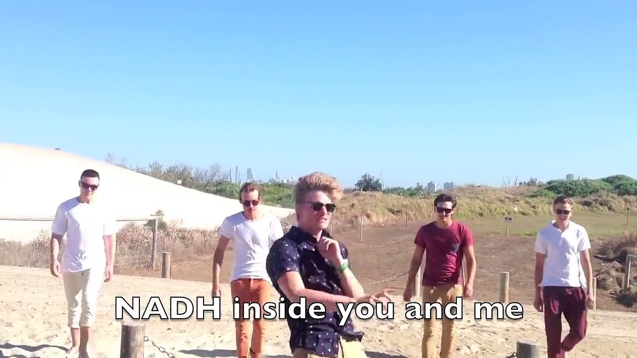 One Direction: What Makes You Beautiful Parody - WHAT MAKES GLYCOLYSIS!