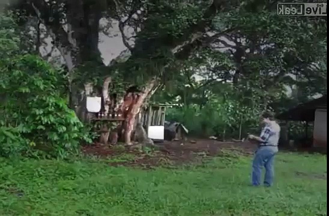 WWII SMGs from South America