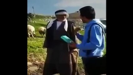 Sheep attack the old man during a live interview