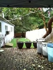 MY ELECTRIC FENCE USED TO PROTECT MY PETS FROM PREDITORS.MOV