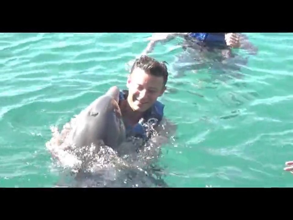 adieu mes vieux démons clip