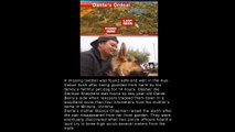 10 Most Loyal Dog Stories I’ve Ever Heard. #10 Had Me In Tears