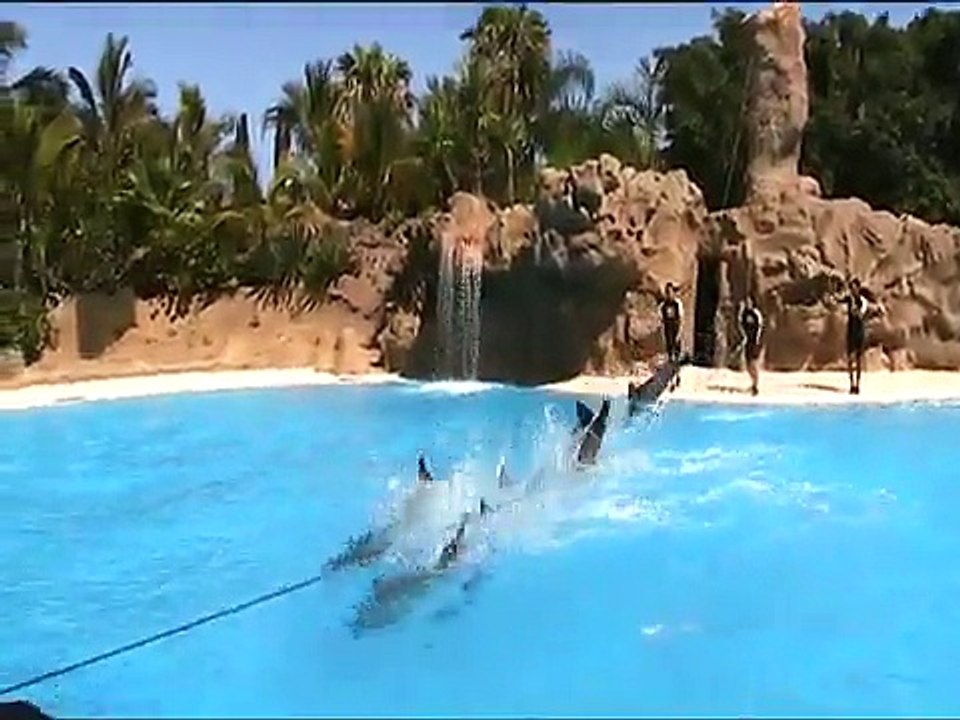 Loro Parque @ Delfines 01 - Tenerife