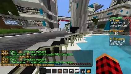Minecraft Online - Survival Games - Skin Pack