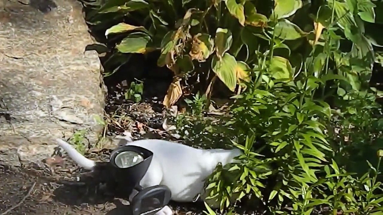 My Edited Video Tone It Up Tone It Up (Parody Perm It Up) Nightmare Tone Tone Tone It up