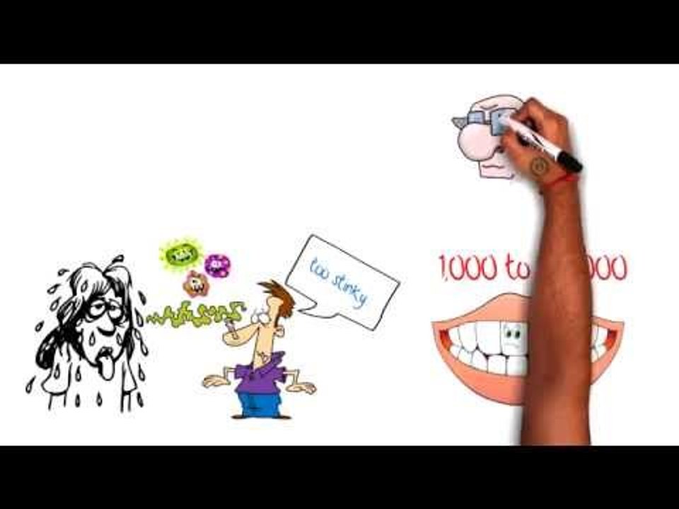 Interesting Myths & Facts About Bacteria