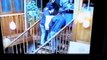 People Falling Down Stairs -